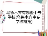 乌鲁木齐有哪些中专学校(乌鲁木齐中专学校概览)