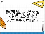 武汉职业技术学校是大专吗(武汉职业技术学校是大专吗？)
