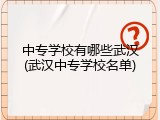 中专学校有哪些武汉(武汉中专学校名单)