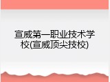 宣威第一职业技术学校(宣威顶尖技校)