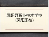 凤阳县职业技术学校(凤阳职校)