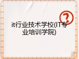 it行业技术学校(IT专业培训学院)