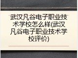 武汉凡谷电子职业技术学校怎么样(武汉凡谷电子职业技术学校评价)