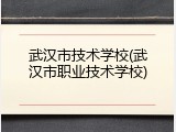 武汉市技术学校(武汉市职业技术学校)