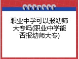 职业中学可以报幼师大专吗(职业中学能否报幼师大专)