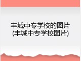 丰城中专学校的图片(丰城中专学校图片)