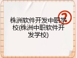 株洲软件开发中职学校(株洲中职软件开发学校)