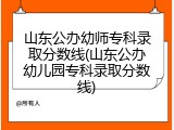 山东公办幼师专科录取分数线(山东公办幼儿园专科录取分数线)