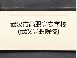 武汉市高职高专学校(武汉高职院校)