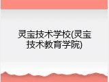 灵宝技术学校(灵宝技术教育学院)