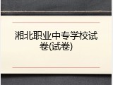 湘北职业中专学校试卷(试卷)