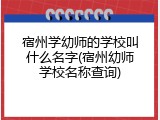 宿州学幼师的学校叫什么名字(宿州幼师学校名称查询)
