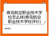 青岛航空职业技术学校怎么样(青岛航空职业技术学校评价)