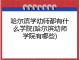 哈尔滨学幼师都有什么学院(哈尔滨幼师学院有哪些)
