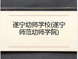 遂宁幼师学校(遂宁师范幼师学院)