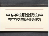 中专学校职业院校(中专学校与职业院校)