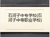 石河子中专学校(石河子中等职业学校)
