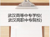 武汉高等中专学校(武汉高职中专院校)