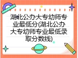湖北公办大专幼师专业最低分(湖北公办大专幼师专业最低录取分数线)