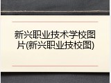 新兴职业技术学校图片(新兴职业技校图)