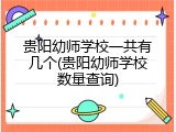 贵阳幼师学校一共有几个(贵阳幼师学校数量查询)