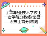 武昌职业技术学校士官学院分数线(武昌职技士官分数线)