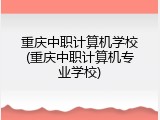 重庆中职计算机学校(重庆中职计算机专业学校)