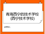 青海西宁的技术学校(西宁技术学校)