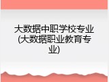 大数据中职学校专业(大数据职业教育专业)