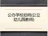 公办学校幼师(公立幼儿园教师)