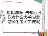 湖北幼师中专毕业可以考什么大学(湖北幼师生考大学选择)