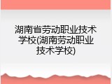 湖南省劳动职业技术学校(湖南劳动职业技术学校)