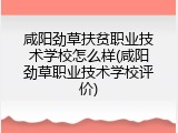 咸阳劲草扶贫职业技术学校怎么样(咸阳劲草职业技术学校评价)