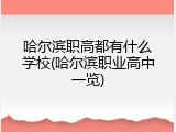 哈尔滨职高都有什么学校(哈尔滨职业高中一览)
