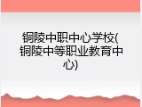 铜陵中职中心学校(铜陵中等职业教育中心)