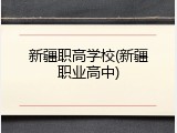 新疆职高学校(新疆职业高中)