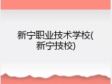 新宁职业技术学校(新宁技校)