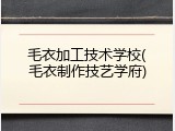 毛衣加工技术学校(毛衣制作技艺学府)