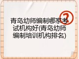 青岛幼师编制哪家考试机构好(青岛幼师编制培训机构排名)
