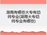 湖南有哪些大专有幼师专业(湖南大专幼师专业有哪些)