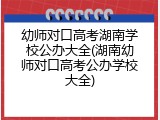 幼师对口高考湖南学校公办大全(湖南幼师对口高考公办学校大全)