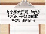 有小学教资可以考幼师吗(小学教资能报考幼儿教师吗)