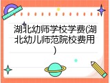 湖北幼师学校学费(湖北幼儿师范院校费用)