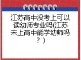 江苏高中没考上可以读幼师专业吗(江苏未上高中能学幼师吗？)