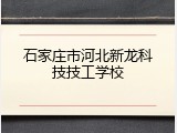石家庄市河北新龙科技技工学校