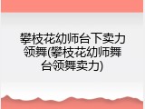 攀枝花幼师台下卖力领舞(攀枝花幼师舞台领舞卖力)