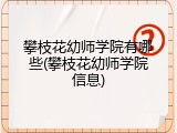 攀枝花幼师学院有哪些(攀枝花幼师学院信息)