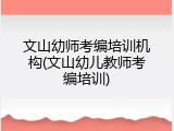 文山幼师考编培训机构(文山幼儿教师考编培训)