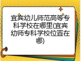 宜宾幼儿师范高等专科学校在哪里(宜宾幼师专科学校位置在哪)