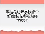 攀枝花幼师学校哪个好(攀枝花哪所幼师学校好)